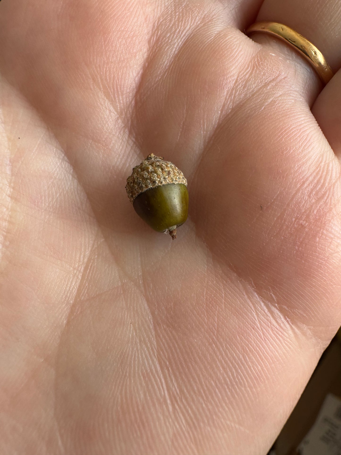 Handmade Acorn and Baby Oak Pendant Necklace