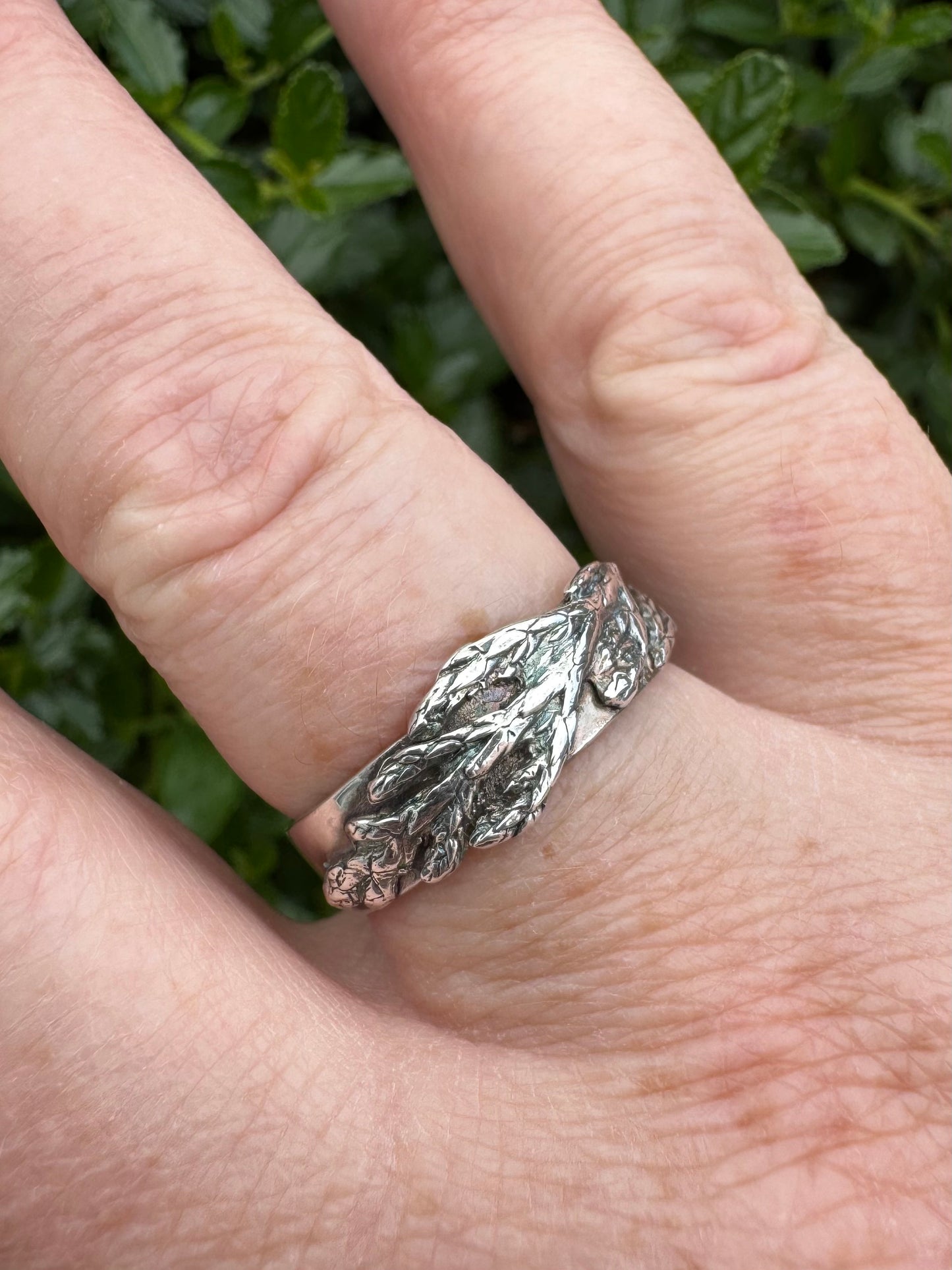 Evergreen band silver ring