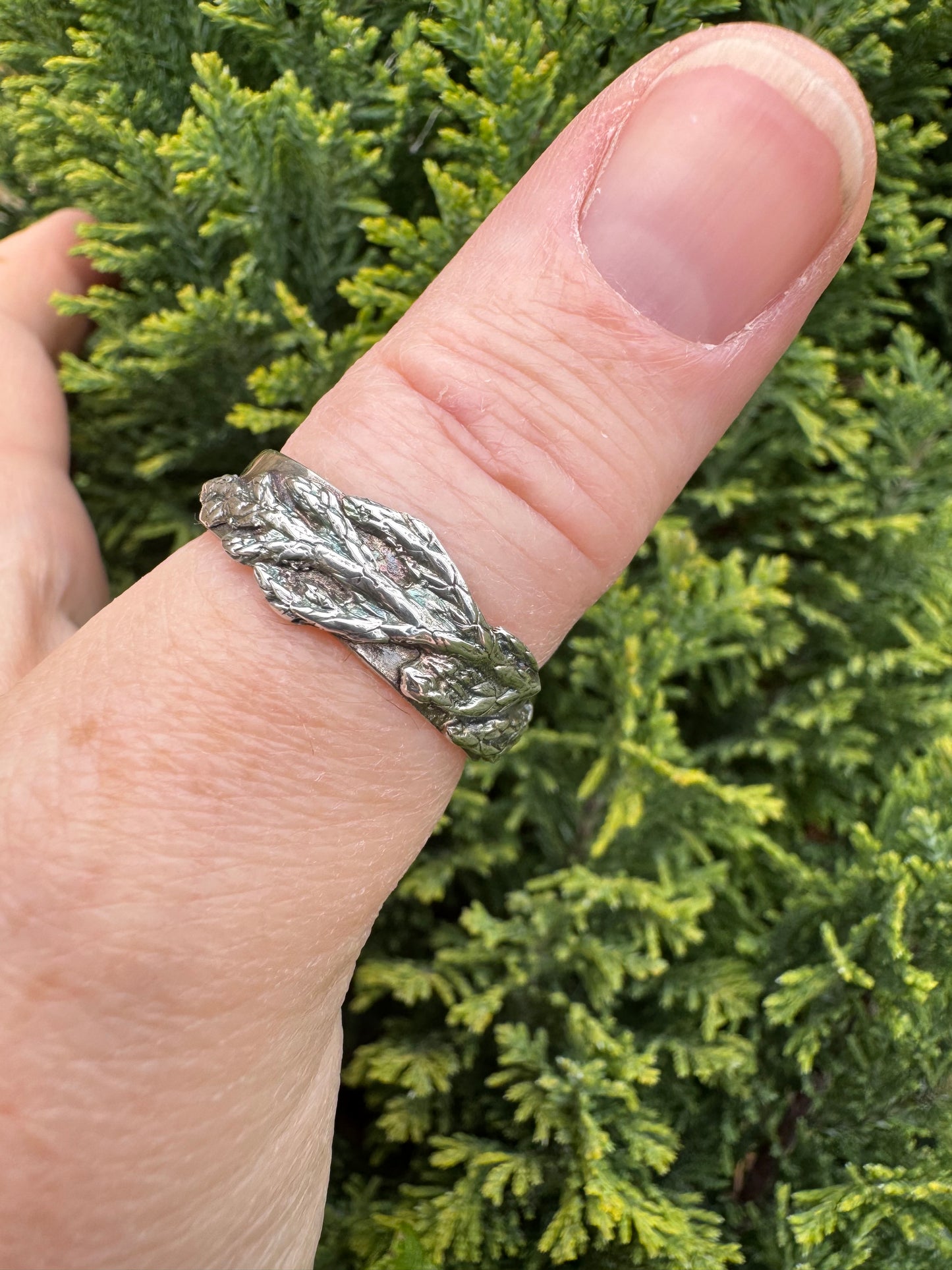 Evergreen band silver ring