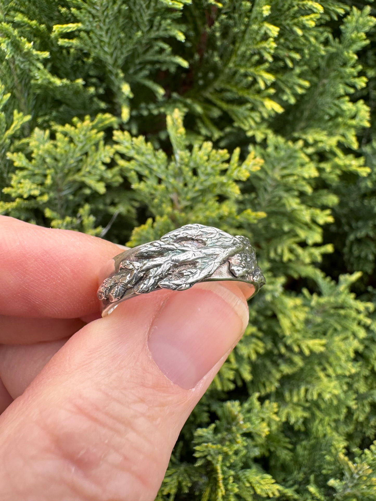 Evergreen band silver ring