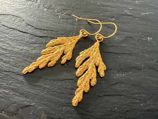 Gold Vermeil Evergreen Earrings
